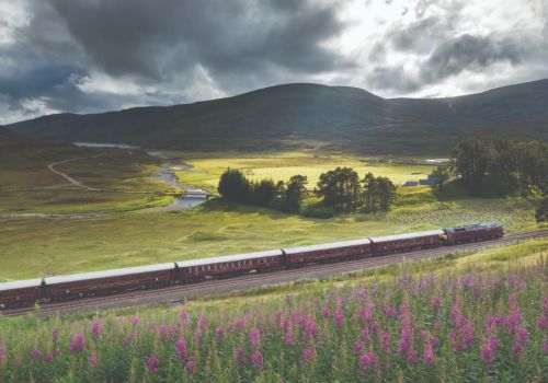 Luxurious Train Journeys Through Scenic Landscapes